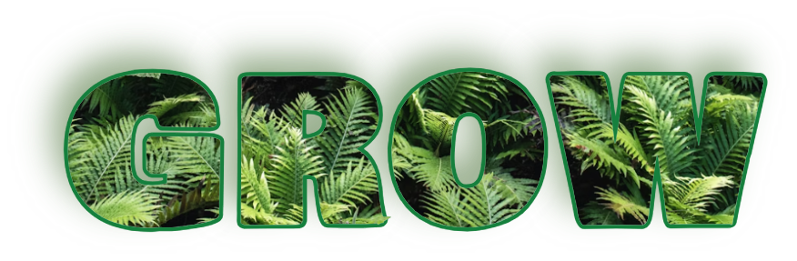 GROW word mask filled with tropical leaves macro